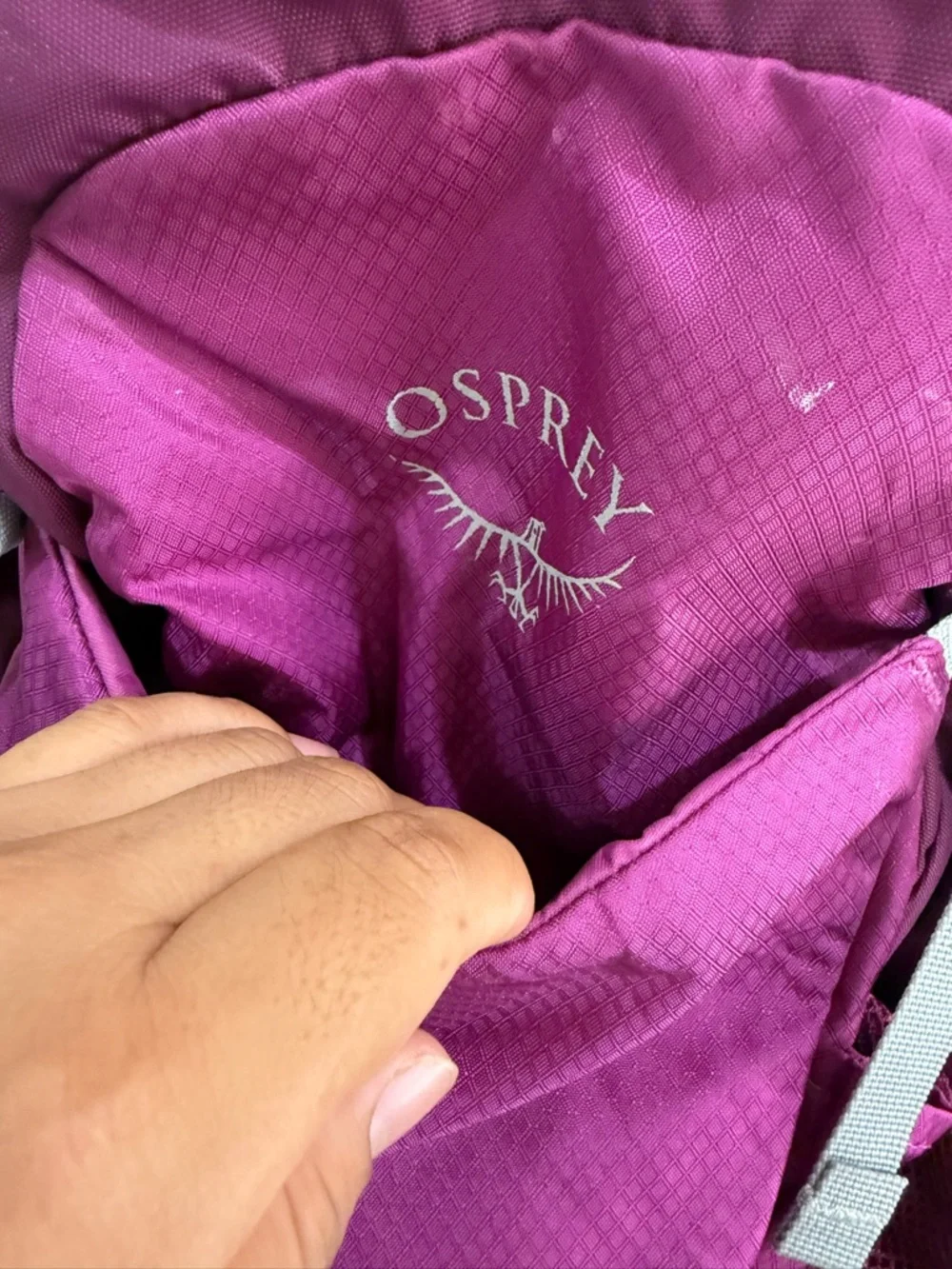 OSPREY Daylite Plus Backpack - Magenta and Light Gray Accents